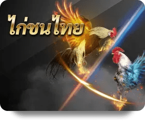 ไก่ชนไทย เกมกีฬาออนไลน์
